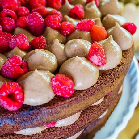 Morfeo - Fun - No Family